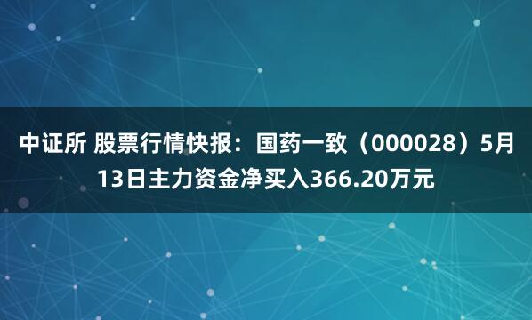 中证所 股票行情快报：国药一致（000028）5月13日主力资金净买入366.20万元