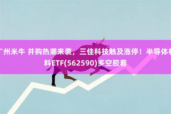 广州米牛 并购热潮来袭，三佳科技触及涨停！半导体材料ETF(562590)多空胶着