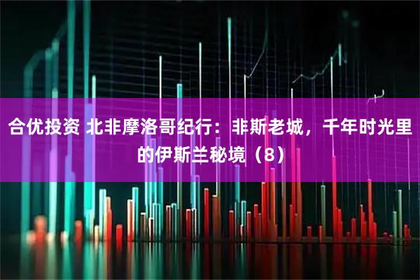 合优投资 北非摩洛哥纪行:非斯老城,千年时光里的伊斯兰秘境(8)